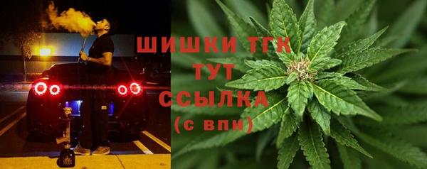 Альфа ПВП Богородск