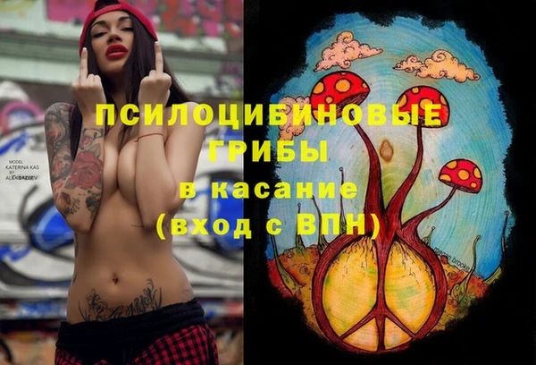 спиды Богородицк