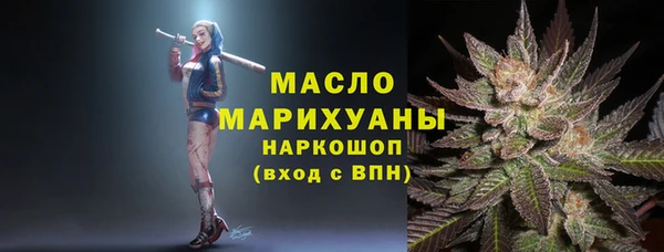 спиды Богородицк