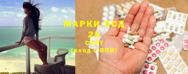 спиды Богородицк