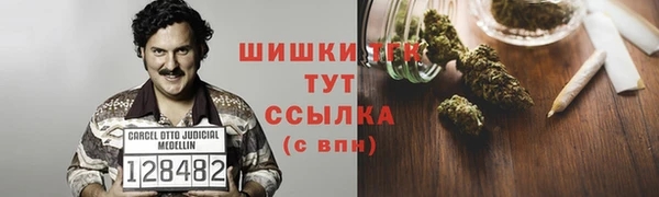 спиды Богородицк