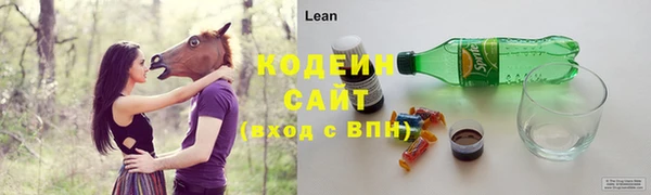 спиды Богородицк