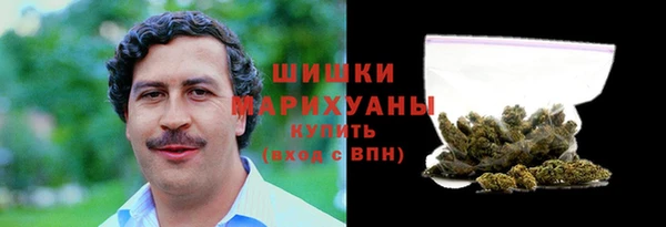 Альфа ПВП Богородск
