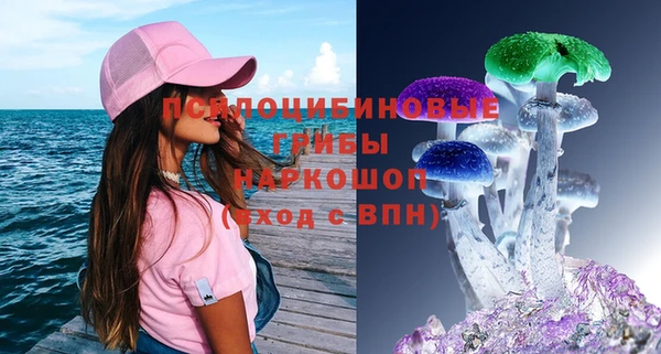 спиды Богородицк