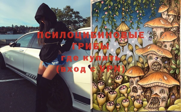 Альфа ПВП Богородск