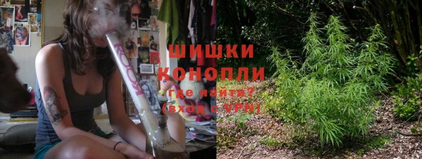спиды Богородицк