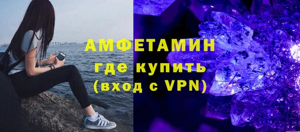 спиды Богородицк