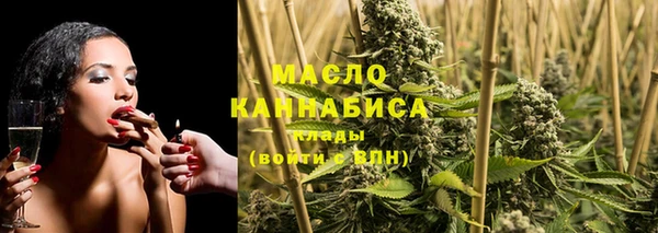 спиды Богородицк